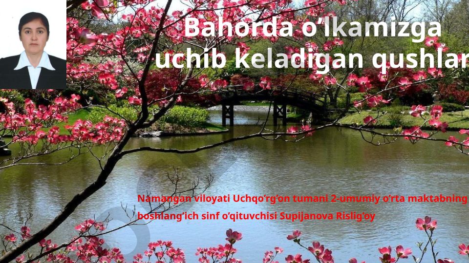 Bahorda o'lkamizga uchib keladigan qushlar
