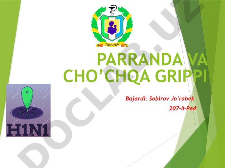Parranda va cho'chqa grippi haqida taqdimot