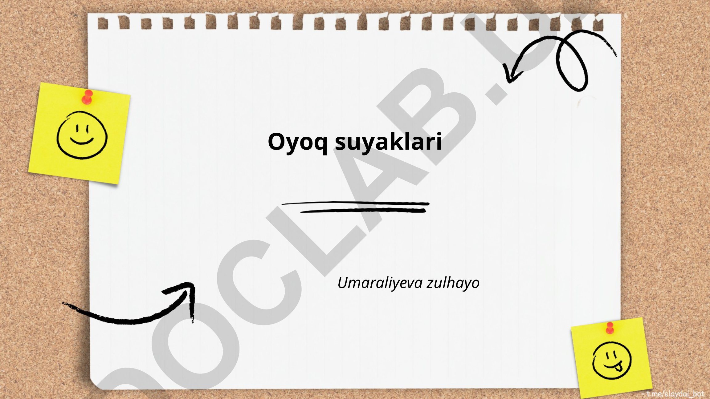 Oyoq suyaklari anatomiyasi va tuzilishi