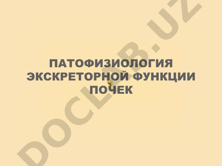 Патология почек и нарушение экскреторной функции