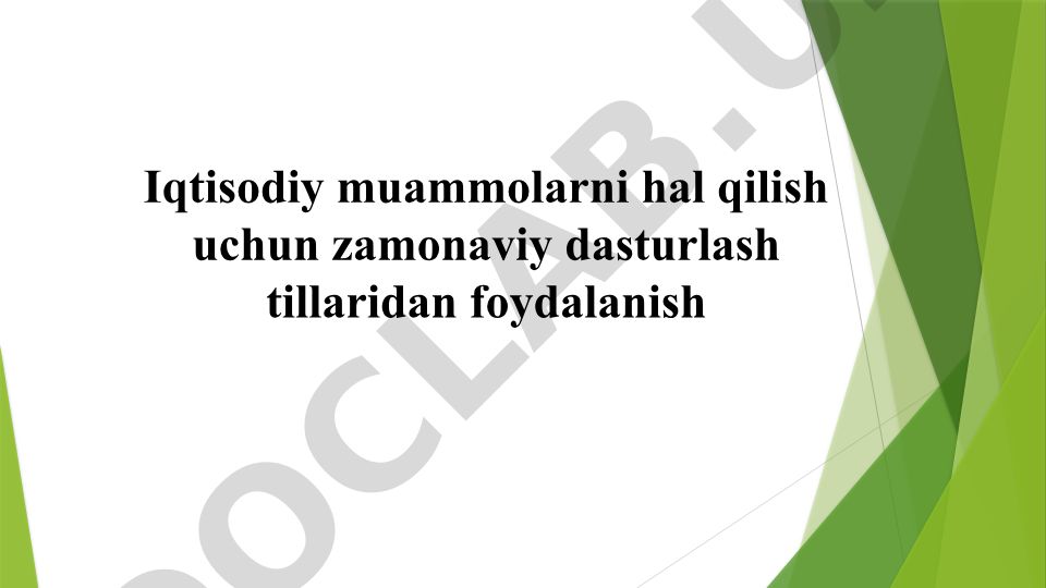 Dasturlash tillari va ularning iqtisodiy muammolarni hal qilishdagi roli