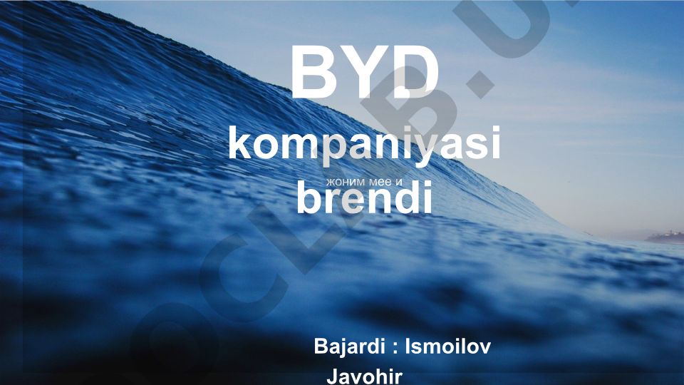 BYD kompaniyasi tarixi, mahsulotlari va imkoniyatlari