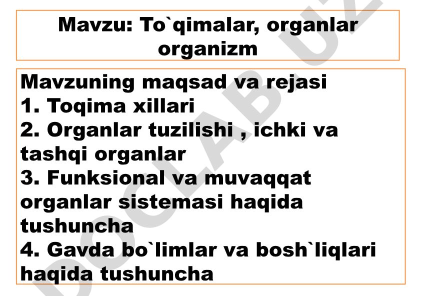 To`qimalar, organlar va organizm tuzilishi