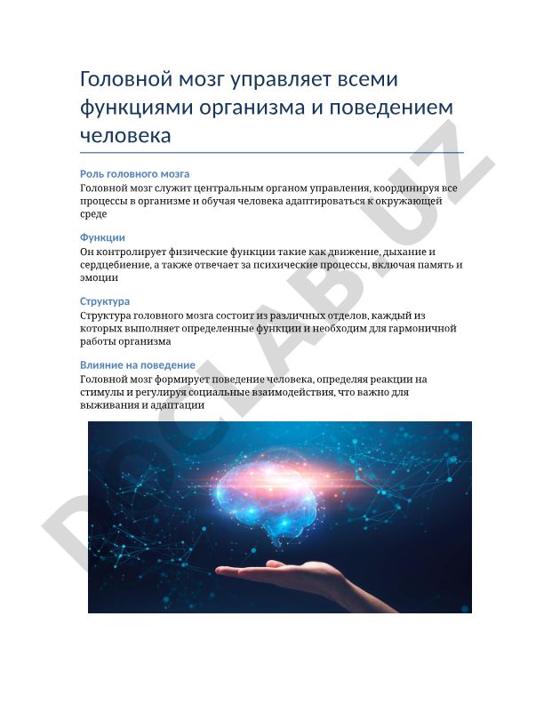 Головной мозг: функции, структура и влияние на поведение человека