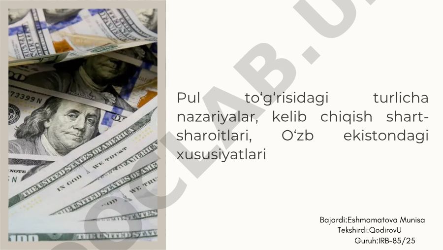 Pulning mohiyati, tarixiy rivojlanishi va O'zbekistondagi xususiyatlari