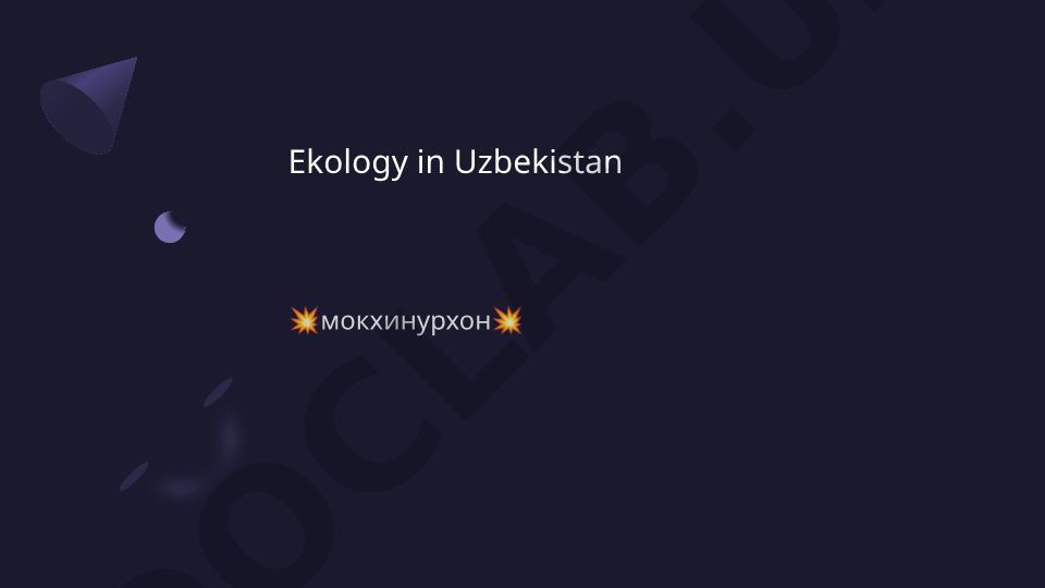 O'zbekiston ekologiyasi va Aral dengizi muammosi
