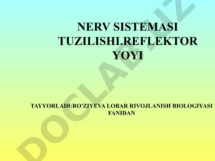 Nerv sistemasi tuzilishi va reflektor yo'yi