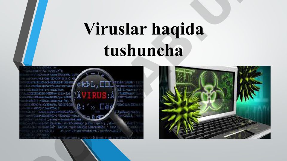 Kompyuter viruslari: tushuncha, turlari va xususiyatlari