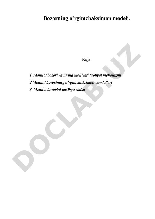 Mehnat bozorining o'rgimchaksimon modellari va tartibga solish
