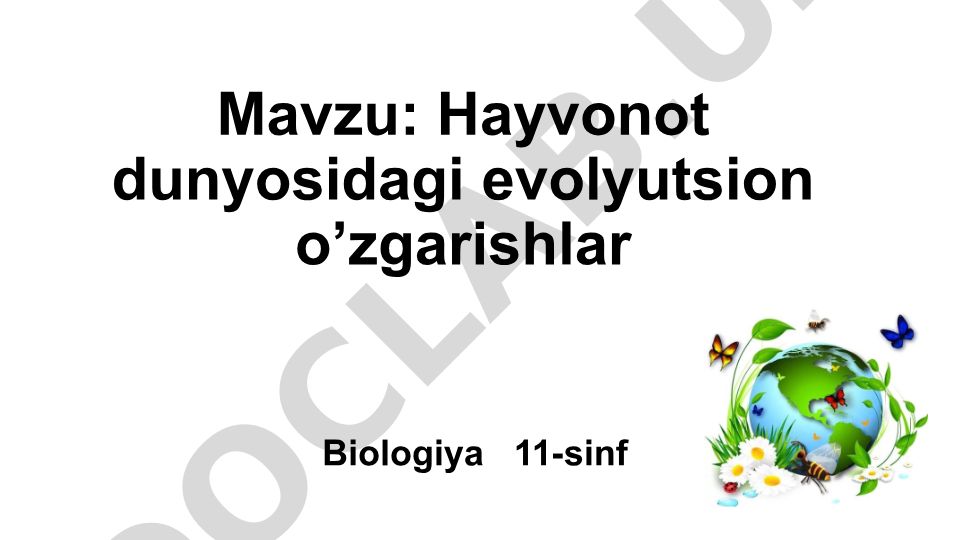 Hayvonot dunyosidagi evolyutsion o'zgarishlar