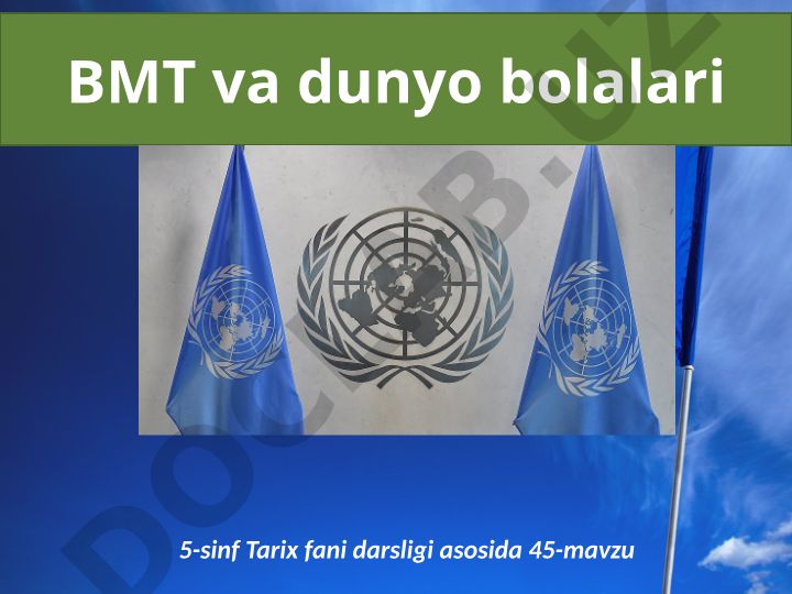 BMT bolalar huquqi himoyachisi va YUNISEF faoliyati