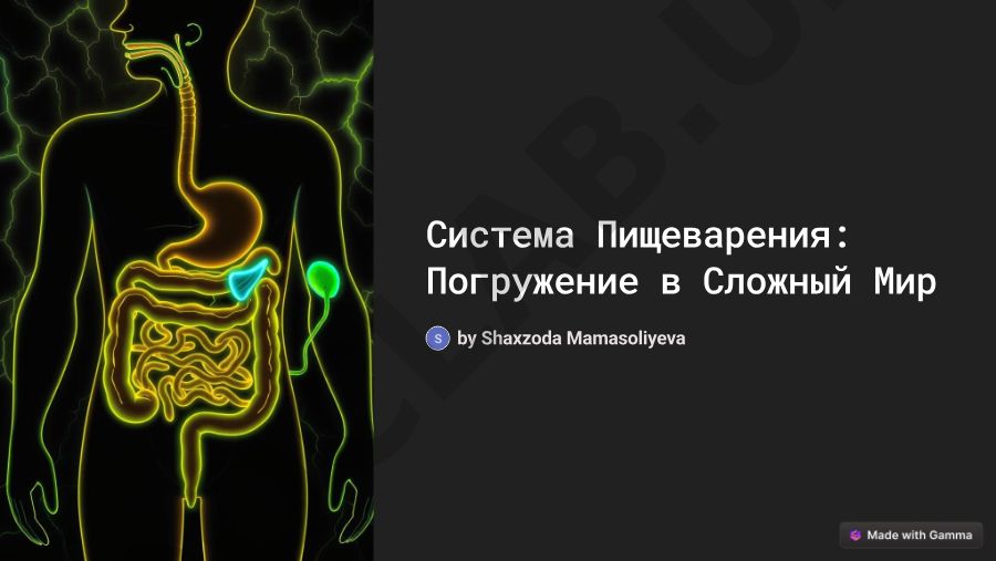 Система пищеварения: погружение в сложный мир