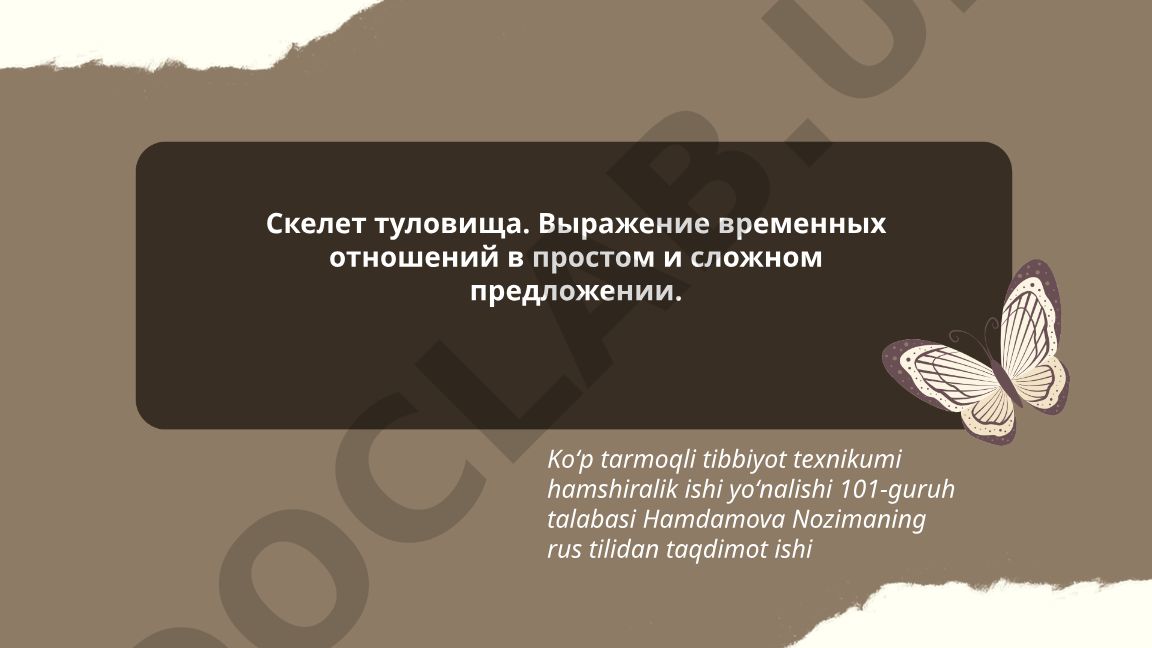 Скелет туловища человека и выражение временных отношений в русском языке