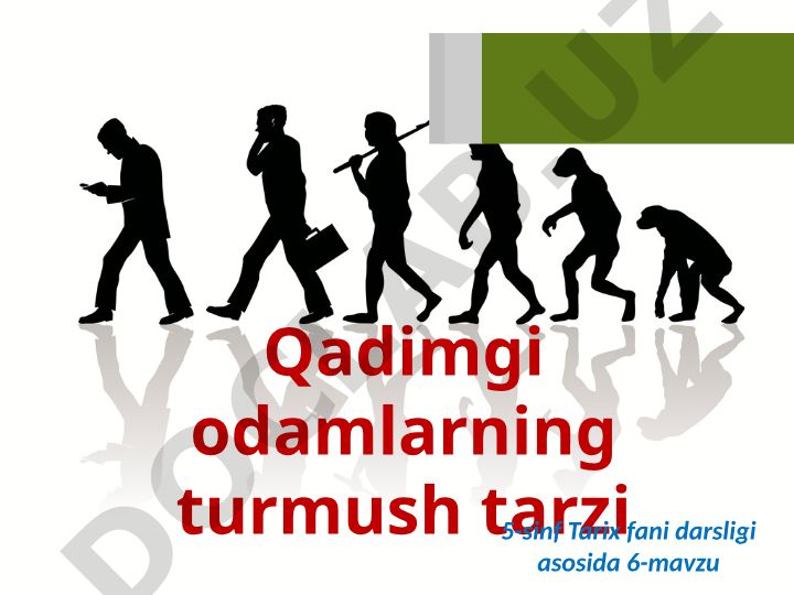 Qadimgi odamlarning mehnat qurollari
