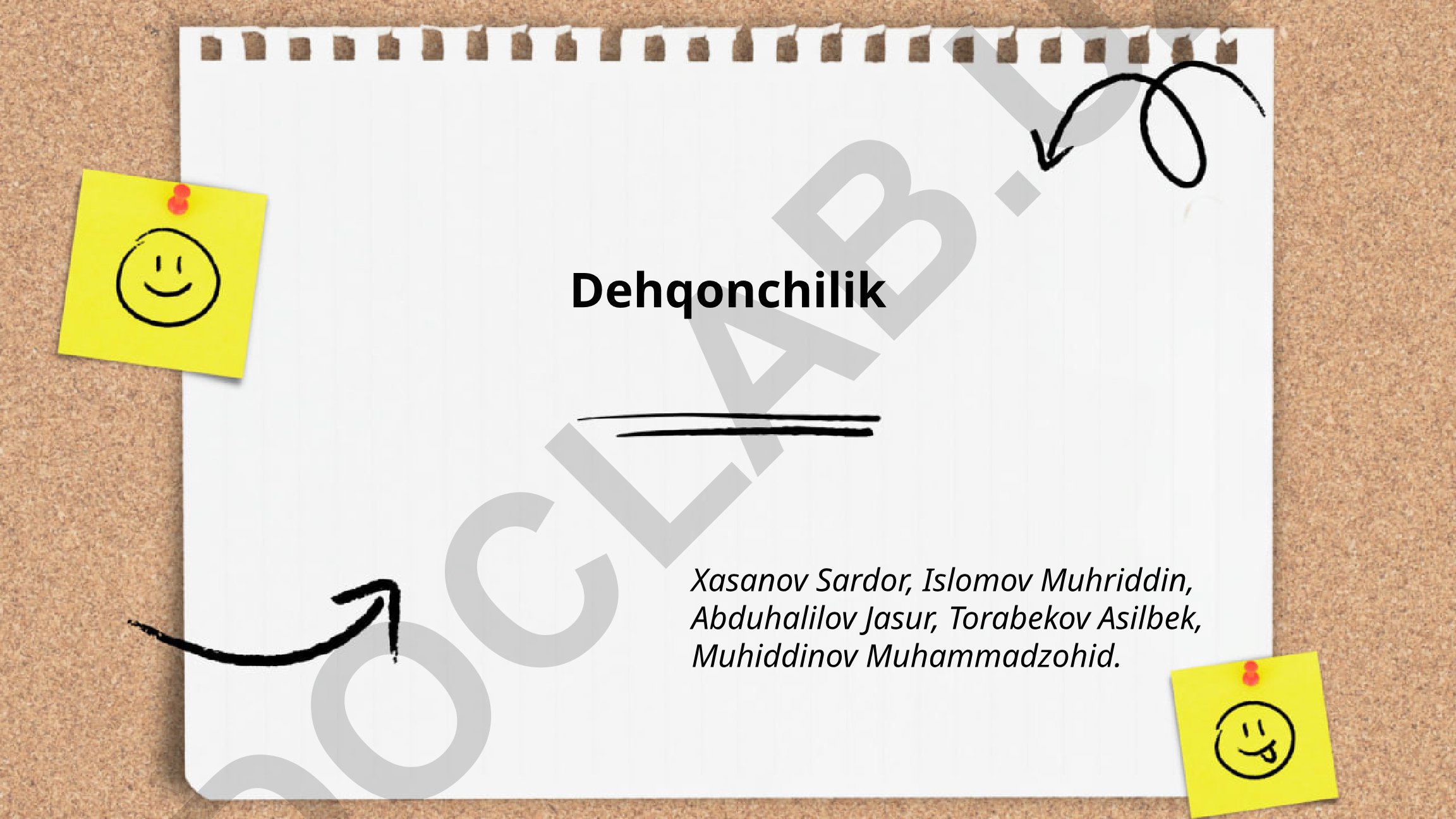 Tuproq tayyorlash, ekin aylantirish va sug'orish usullari