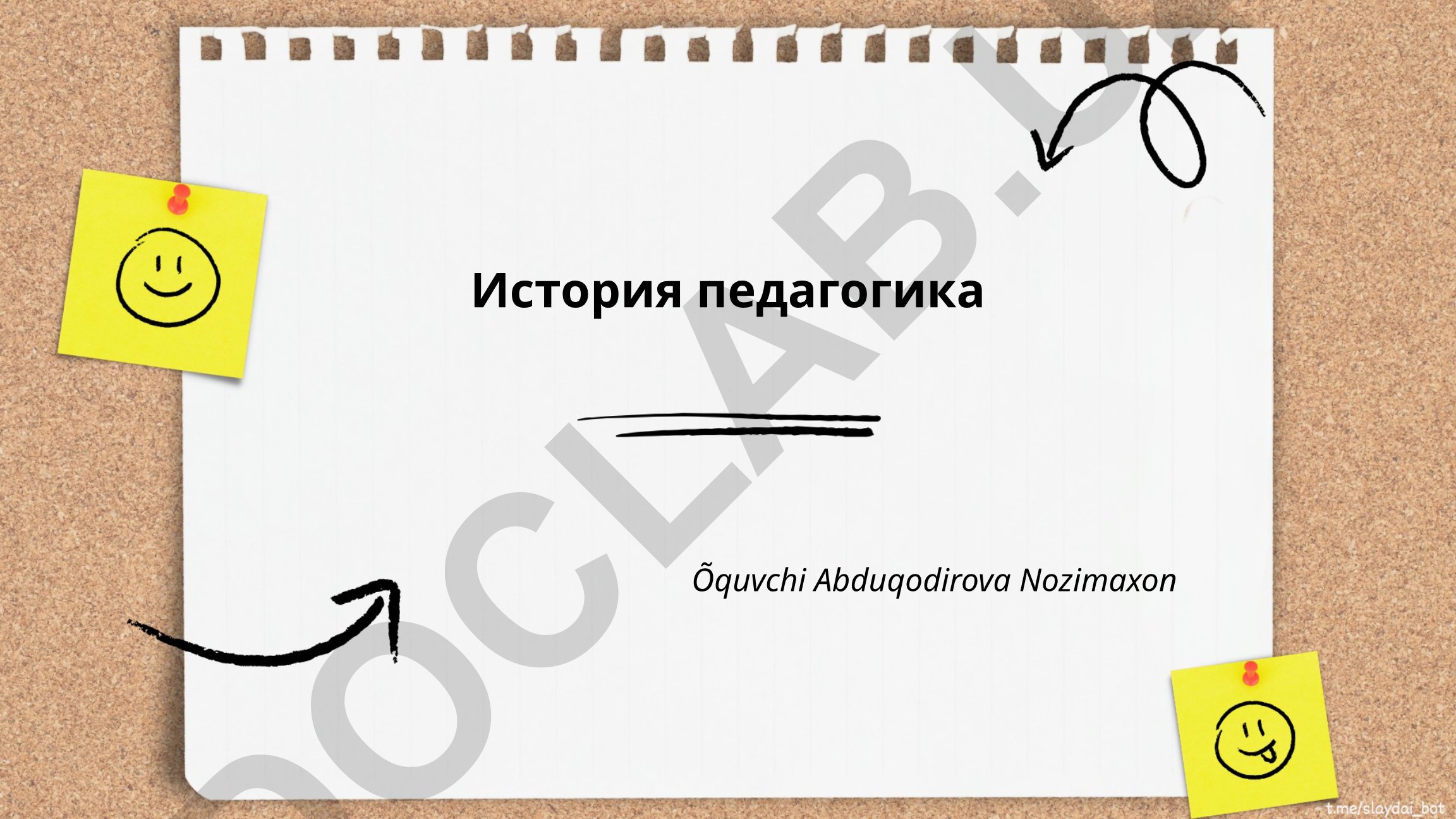 История педагогики как науки