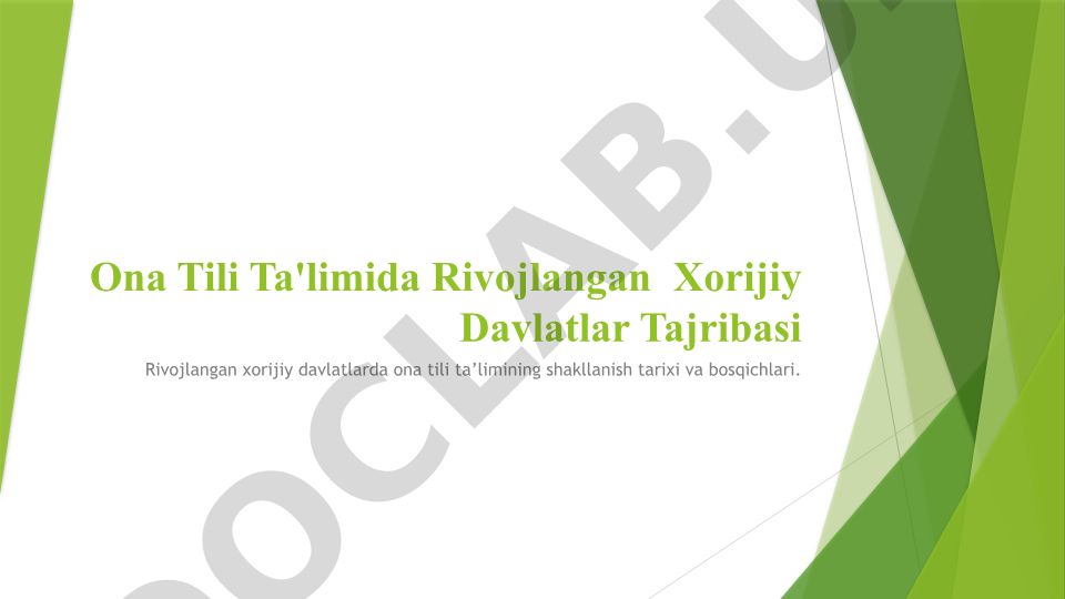 Rivojlangan xorijiy davlatlarda ona tili ta'limi tajribasi