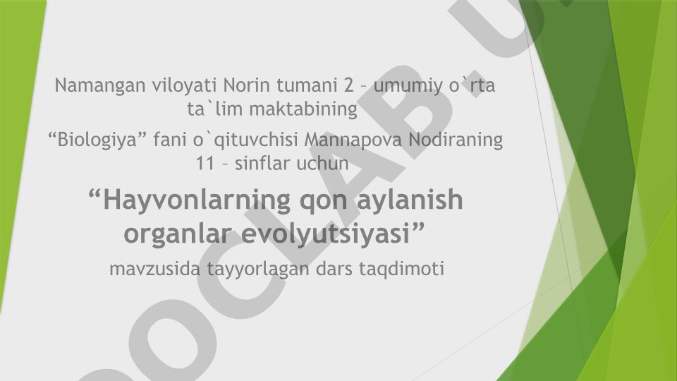 Hayvonlarning qon aylanish organlari evolyutsiyasi