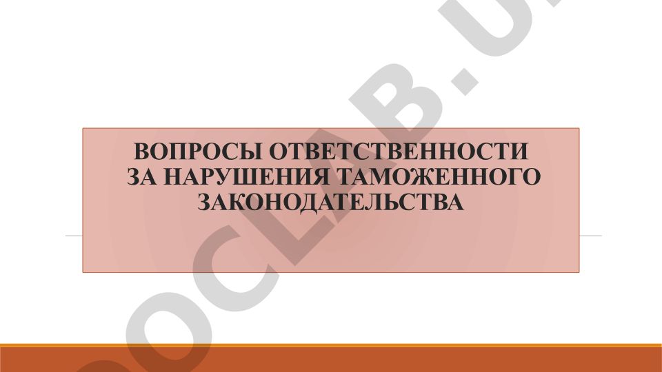 Вопросы ответственности за нарушения таможенного законодательства
