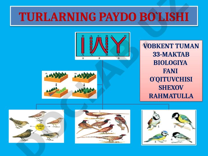 Turlarning paydo bo‘lishi va biologik jarayonlar