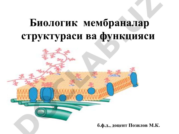 Биологик мембраналар структураси ва функцияси