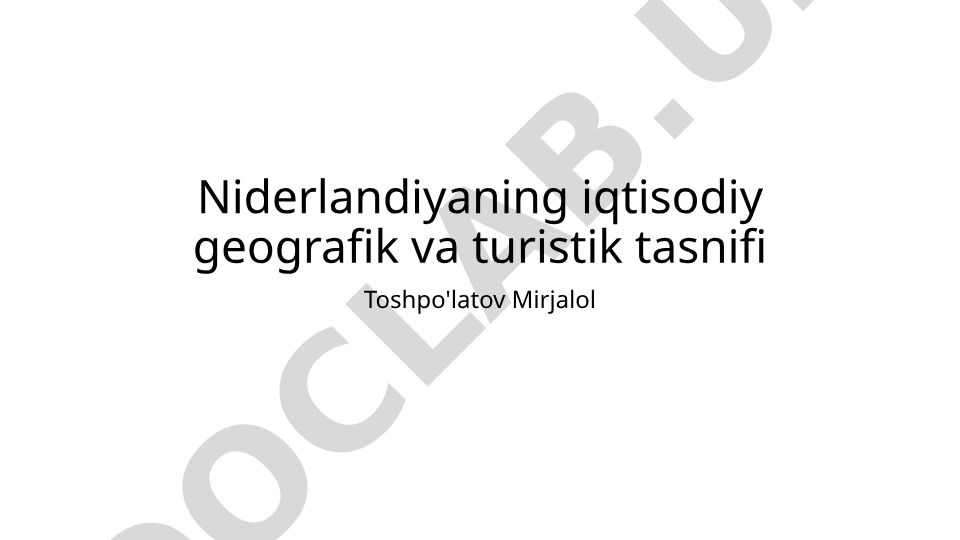 Niderlandiyaning iqtisodiy geografik va turistik tasnifi