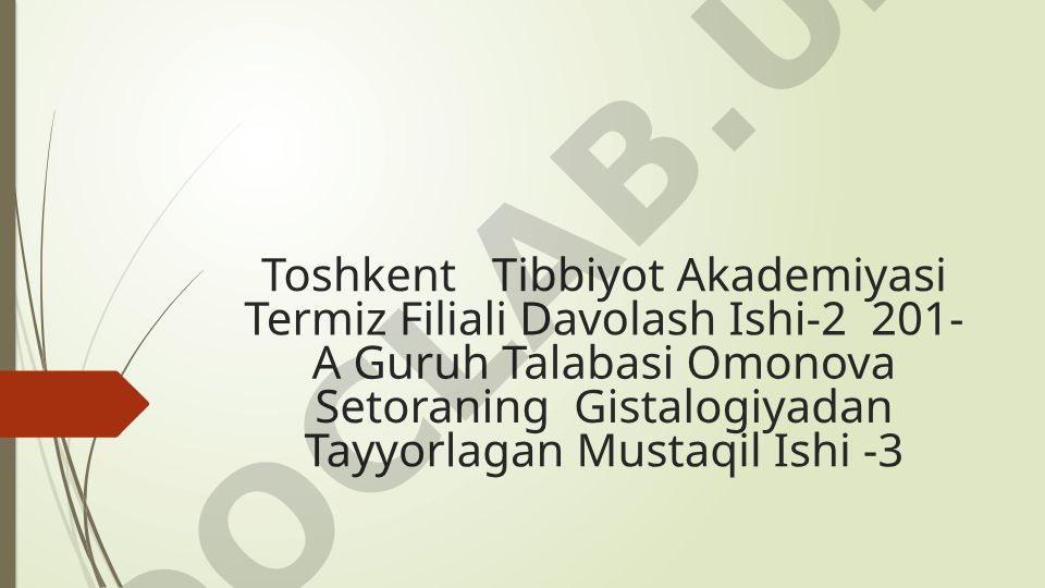 Hazm nayining limfoid tuzilmalari