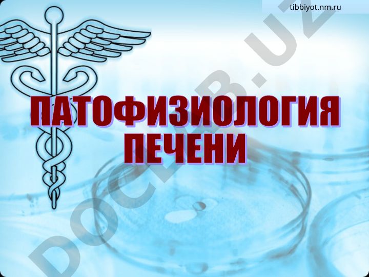 Реализация обмена веществ и функции печени