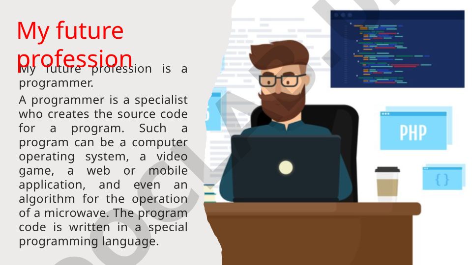 My future profession is a programmer
