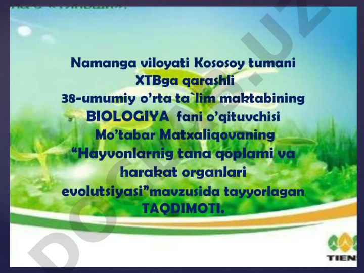 Raqamli tasvirlar va fayllar
