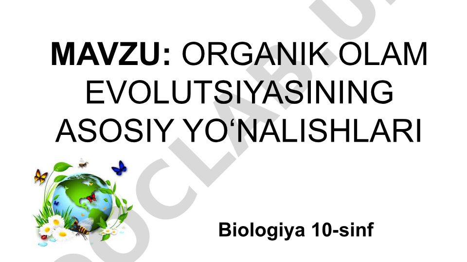 Organik olam evolutsiyasining asosiy yo‘nalishlari