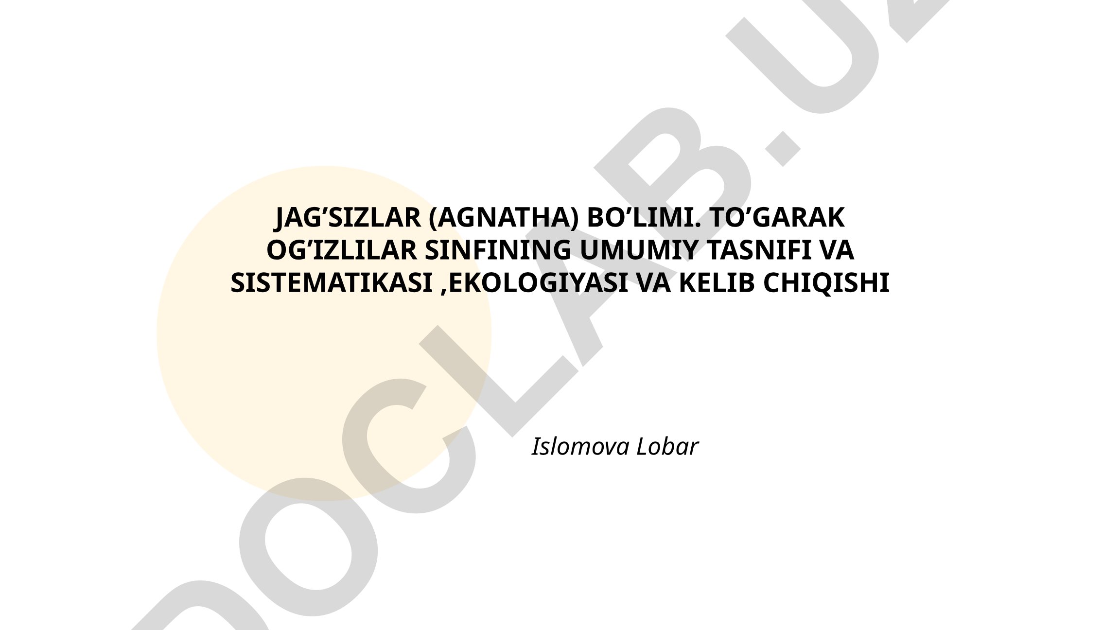 Jag'sizlar (Agnatha) bo'limi va to'garak og'izlilar sinfining tasnifi, ekologiyasi va kelib chiqishi