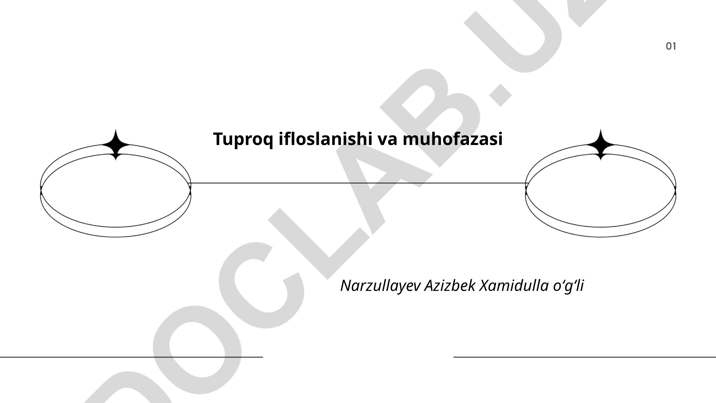Tuproq ifloslanishi va muhofazasi
