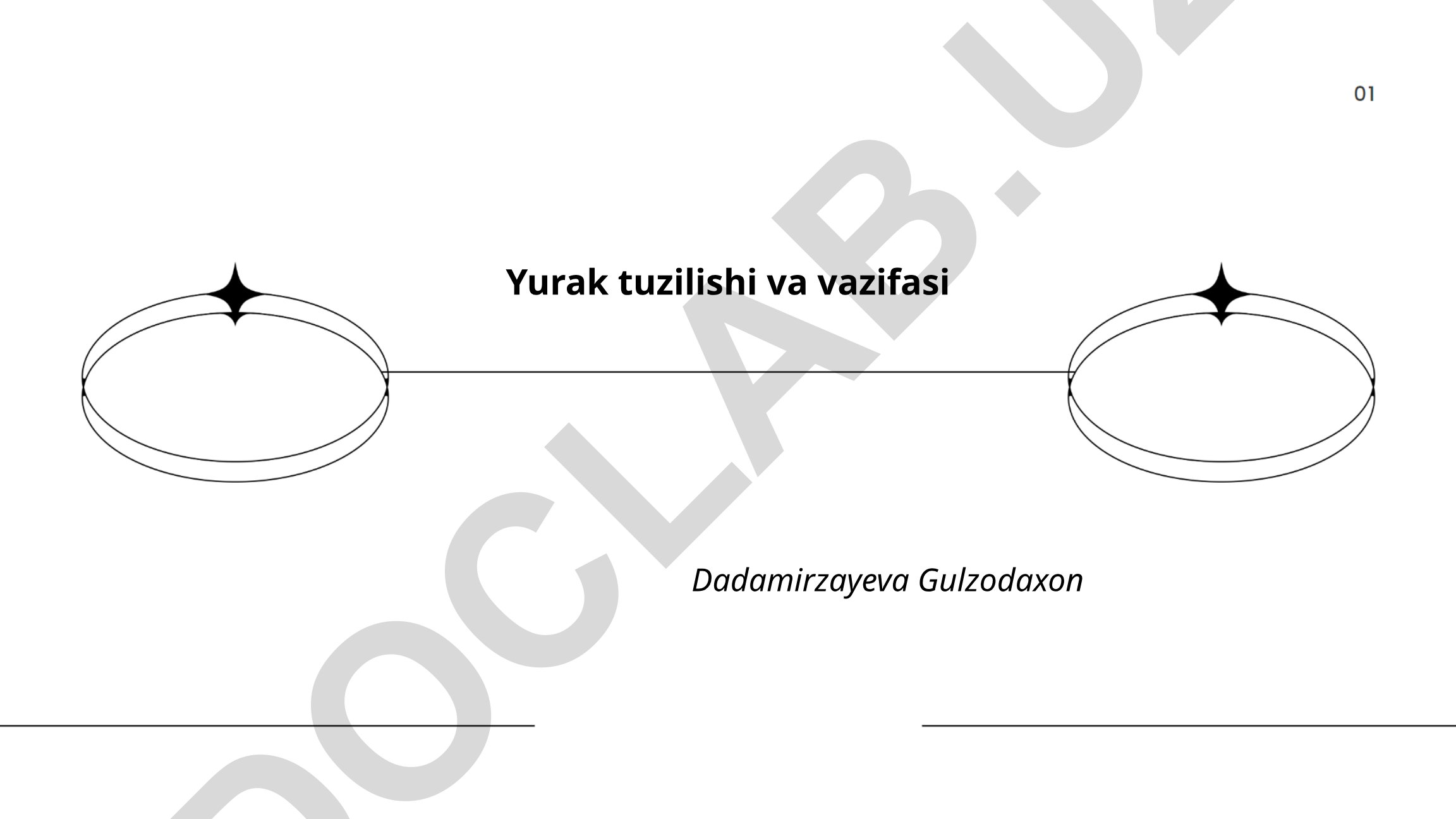 Yurak tuzilishi va vazifasi