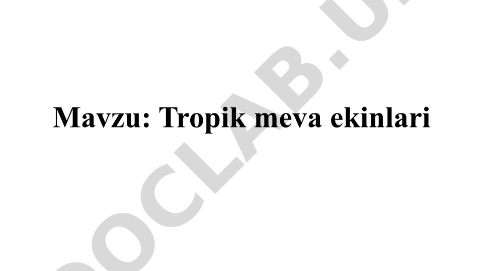 Tropik meva ekinlari Mango (Mangitfera) va Kivi