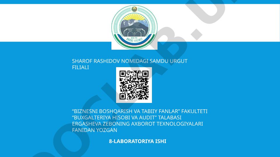 Elektron hukumatning elementlari va amaldagi loyihalari