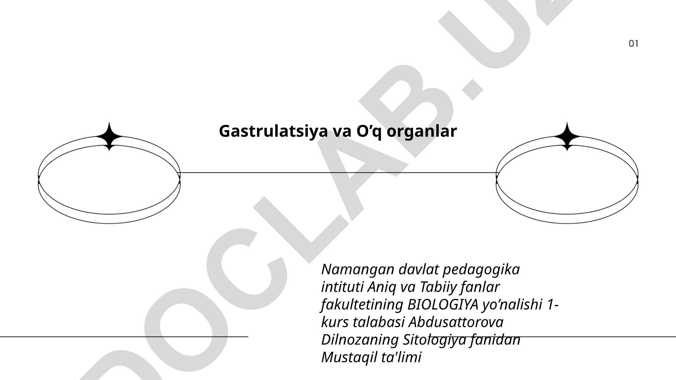 Gastrulatsiya va O'q organlarining bosqichlari va morfologik o'zgarishlari