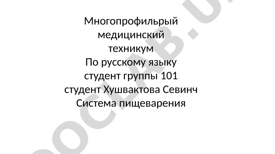 Система пищеварения: строение органов пищеварительной системы человека