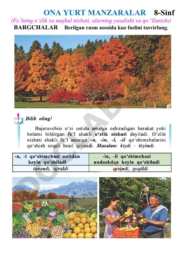 O'zbek tili fani uchun sinflar bo'yicha yillik ko'rgazmalar va konspektlar