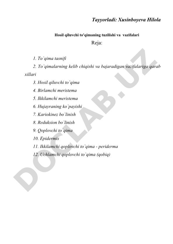 Hosil qiluvchi to'qimaning tuzilishi va vazifalari
