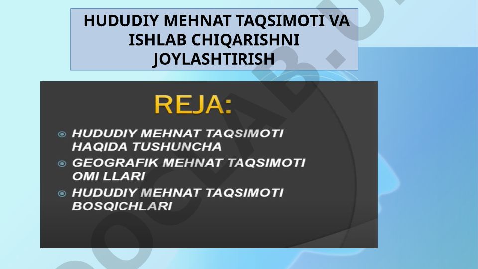 Hududiy mehnat taqsimoti va ishlab chiqarishni joylashtirish