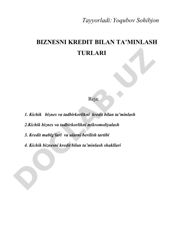 Kichik biznes va tadbirkorlikni kredit bilan ta'minlash turlari