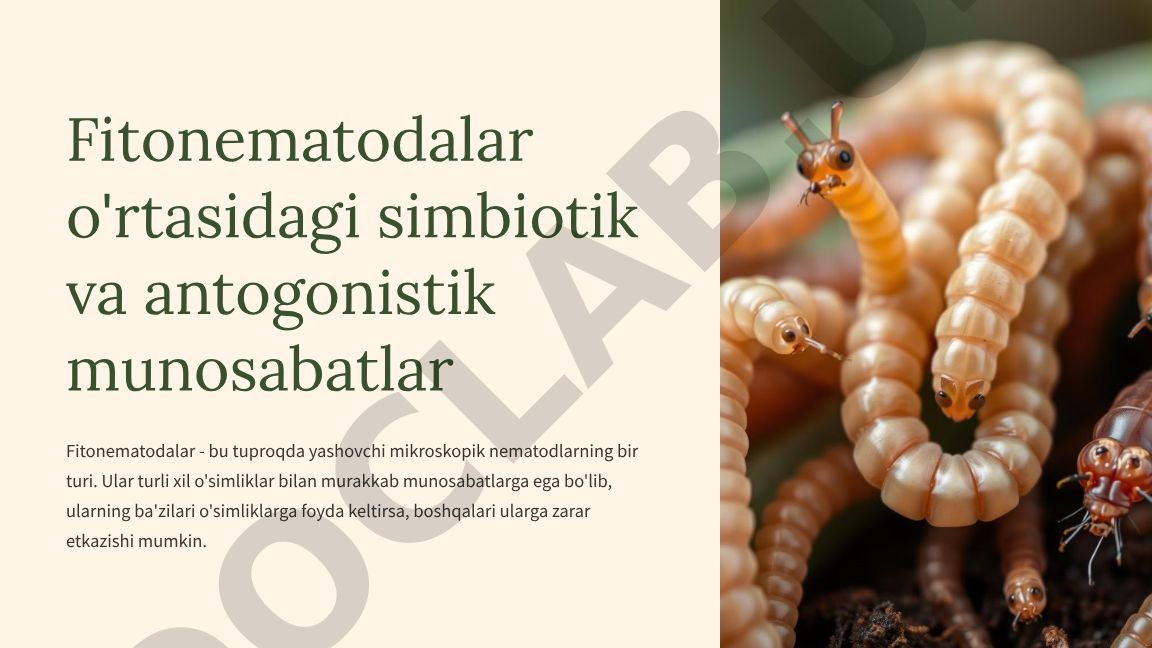 Fitonematodalar o'rtasidagi simbiotik va antogonistik munosabatlar