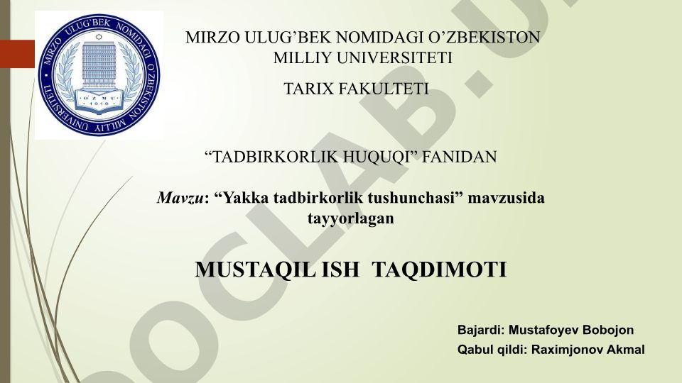 Yakka tadbirkorlik tushunchasi