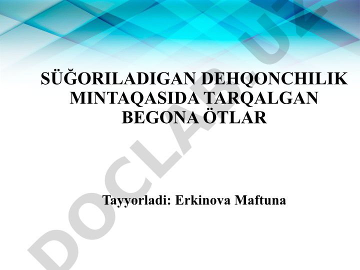 Süğoriladigan dehqonchilik mintaqasida tarqalgan begona o‘tlar