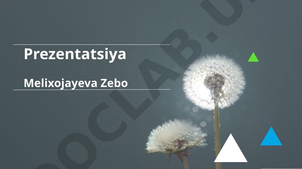 Yunon-Baqtriya podsholigi tarixi va madaniyati