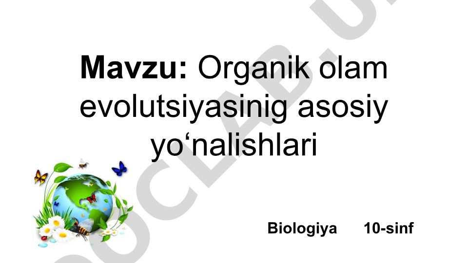Organik olam evolutsiyasining asosiy yo‘nalishlari