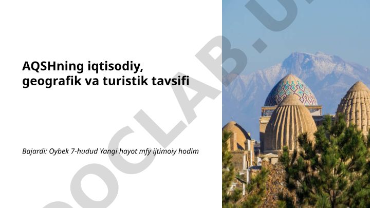 AQSHning iqtisodiy, geografik va turistik tavsifi