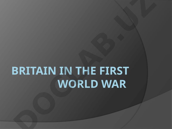 Britain In The First World War