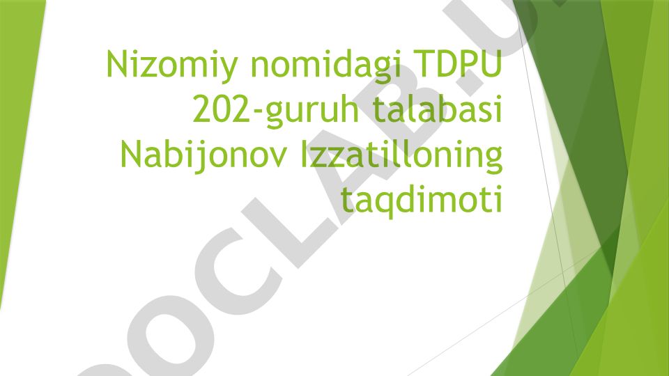 Amir Temur va Temuriylar saltanati tarixiy geografiyasi